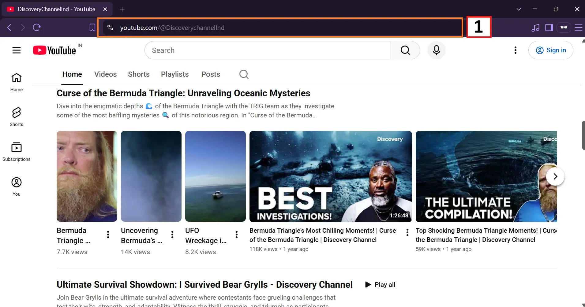 Copy the Channel URL